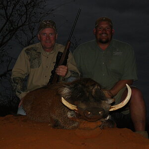 South Africa Hunting Warthog