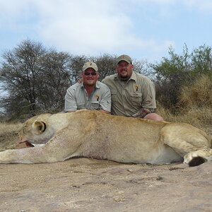 Hunt Lioness in South Africa