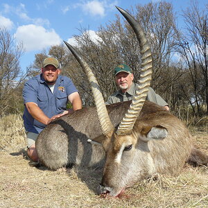 Waterbuck Hunting South Africa