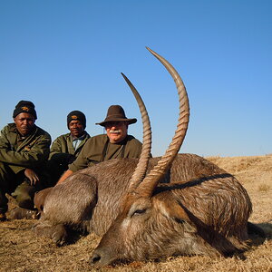 South Africa Hunting Waterbuck