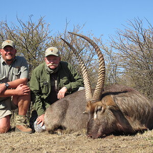 Hunting Waterbuck in South Africa