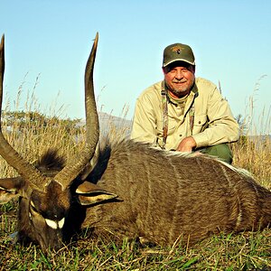 South Africa Hunting Nyala