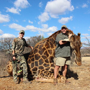 Giraffe Hunt South Africa