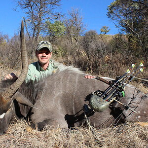 South Africa Bow Hunt Nyala