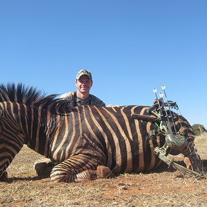 Burchell's Plain Zebra Bow Hunting