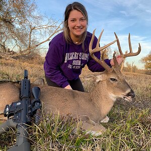 Hunt White-tailed Deer in Texas USA