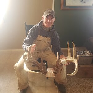 USA Hunt Deer