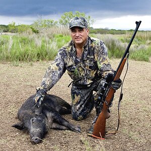 USA Hunting Pigs