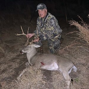 White-tailed Deer Hunt Texas USA