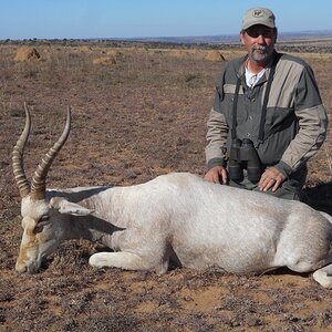 Hunting White Blesbok in South Africa