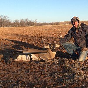 Hunting White-tailed Deer in Texas USA