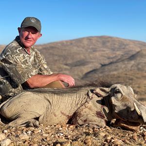 Hunt Warthog in Namibia