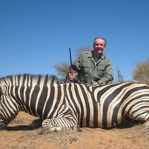 Hunt Burchell's Plain Zebra in Namibia