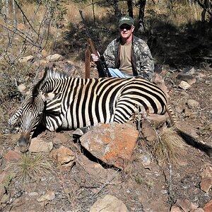 Hunt Burchell's Plain Zebra