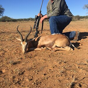 Hunting Springbok in Namibia