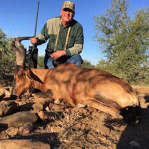 Hunt Red Hartebeest in Namibia