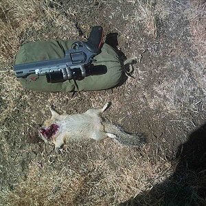 Ground Squirrel Hunting USA