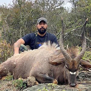 Hunting Nyala in South Africa