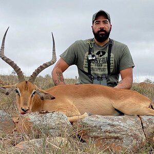 Impala Hunting South Africa