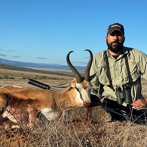 Springbok Hunt South Africa