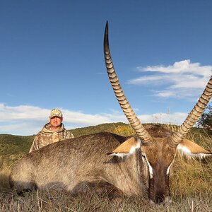 Waterbuck Hunt South Africa