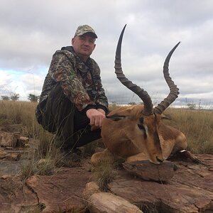 Hunt Impala in South Africa