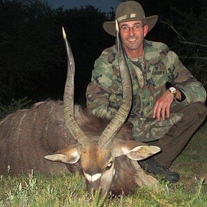 Nyala Hunt In South Africa