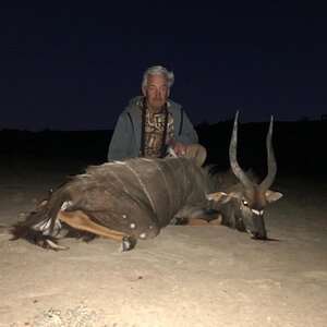 Hunting A Nyala South Africa