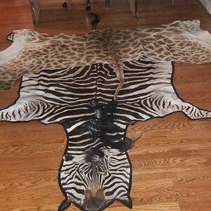 Giraffe Backskin & Burchell's Plain Zebra Rug Taxidermy