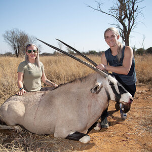 Gemsbok South Africa