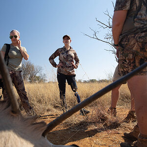 Gemsbok South Africa