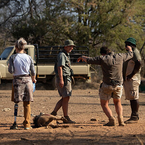 Hunting Warthog South Africa