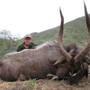 Nyala South Africa