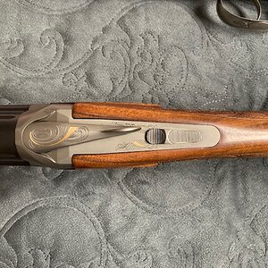 Chapuis Brousse in .375 H&H