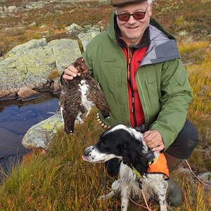 Langesjå Bird Hunting