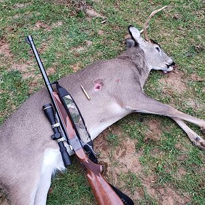 Ruger No1 416 Remington Magnum Rifle