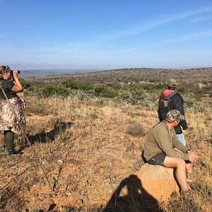 Viewing Waterbuck South Africa