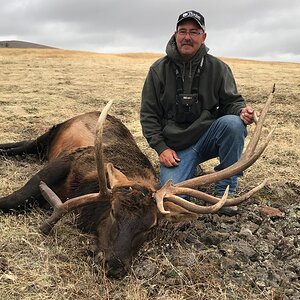 Elk Hunt