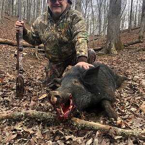 Pig Hunting