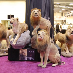 Taxidermy at Safari Club International Convention