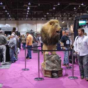 Taxidermy at Safari Club International Convention