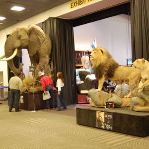 Taxidermy at Safari Club International Convention