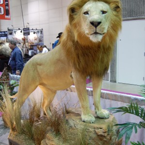 Taxidermy at Safari Club International Convention