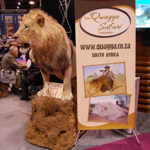 Taxidermy at Safari Club International Convention