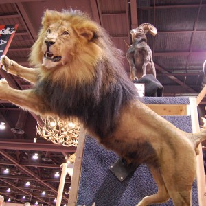 Taxidermy at Safari Club International Convention