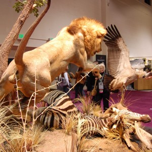 Taxidermy at Safari Club International Convention