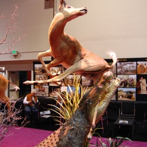 Taxidermy at Safari Club International Convention