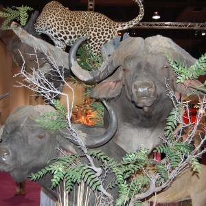 Taxidermy at Safari Club International Convention