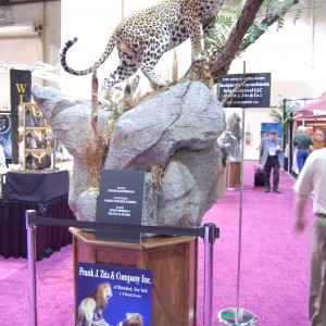 Taxidermy at Safari Club International Convention