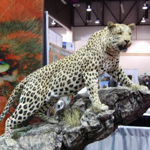 Taxidermy at Safari Club International Convention